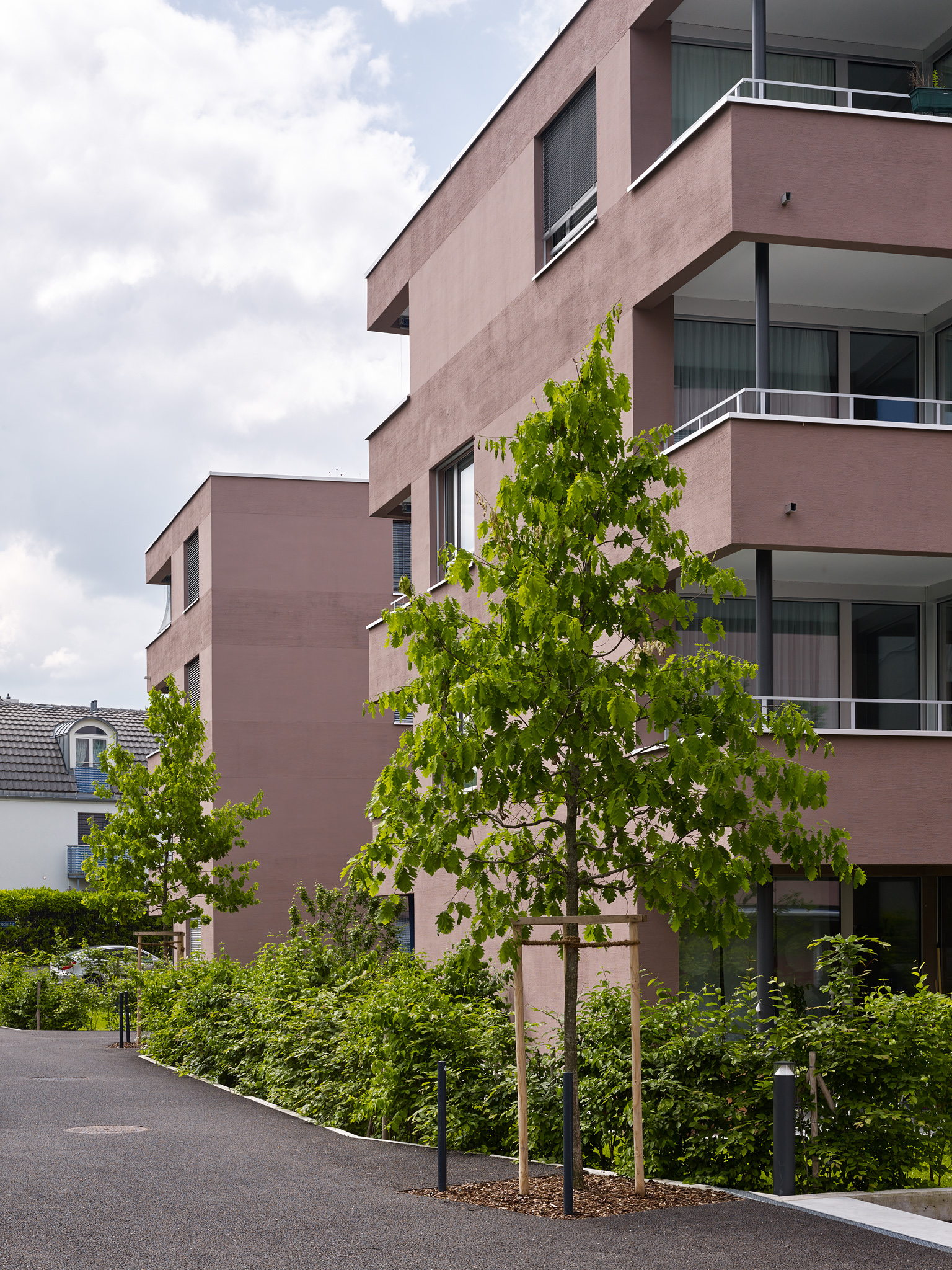 E15551 Alpa 051055 SCREEN